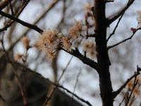 南京一中摄影社采风活动——鸡鸣寺