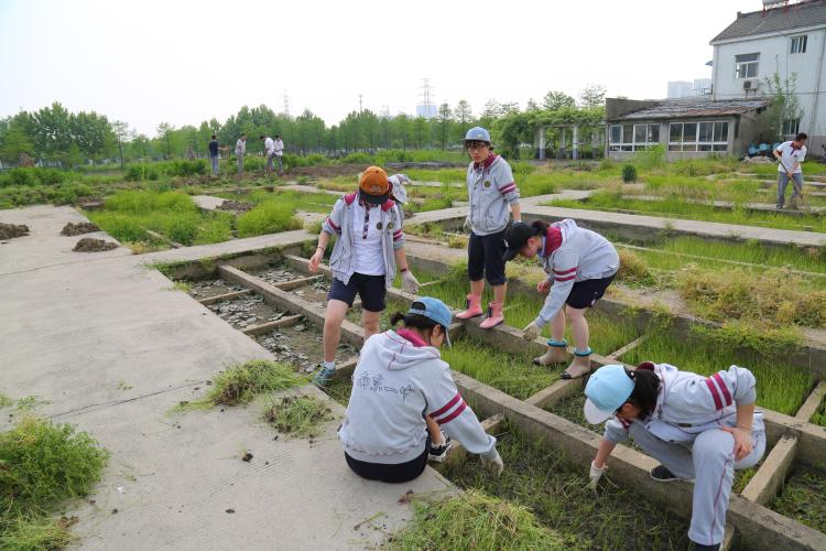 一起除草