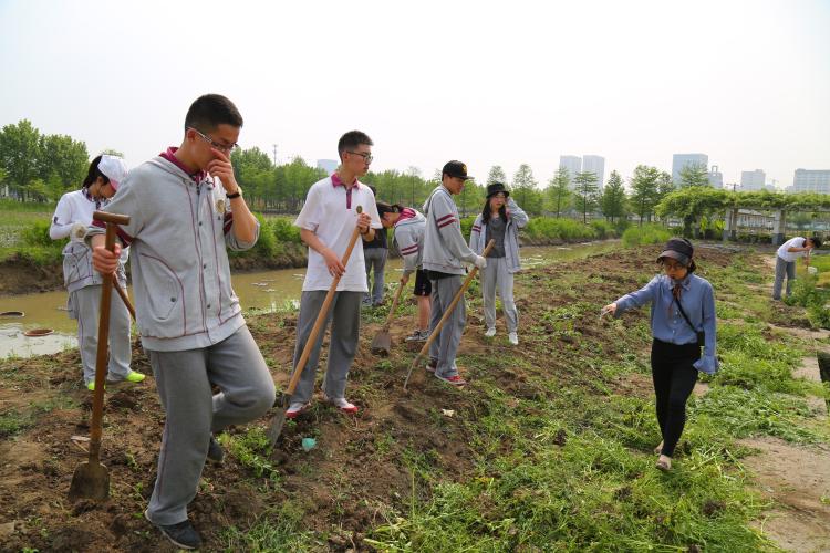 辅导员指挥同学翻土